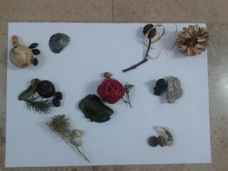 Cabinet Individual de Psihologie - Nedea Elena