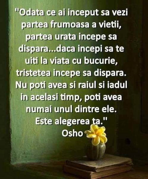 CABINET INDIVIDUAL DE PSIHOLOGIE-IACOB MEDA LUANA